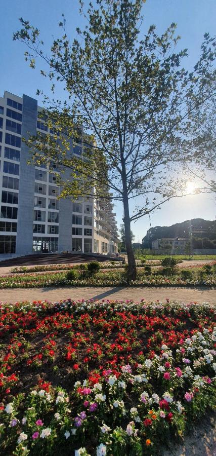 Evropa Hotel Gagra Kültér fotó